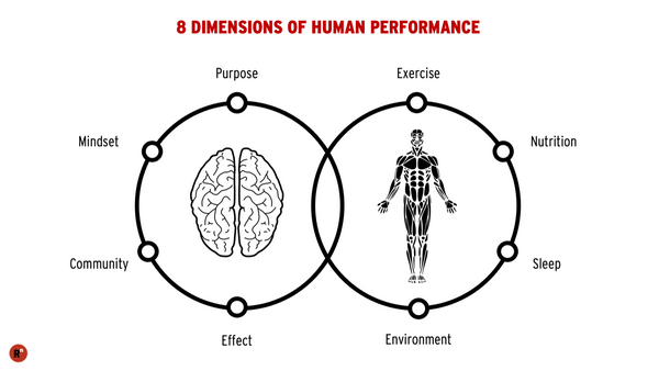 What is Optimal Human Performance?